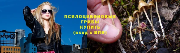 МДПВ Алексеевка