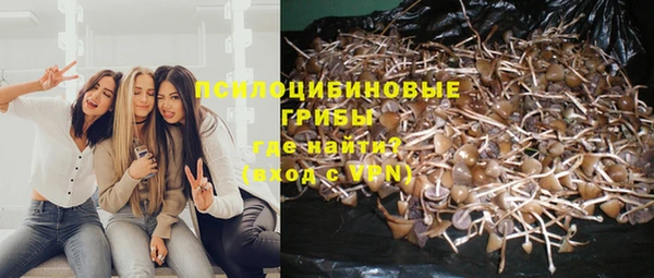 МДПВ Алексеевка