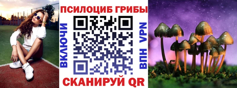 хочу Николаевск Галлюциногенные грибы Psilocybine cubensis